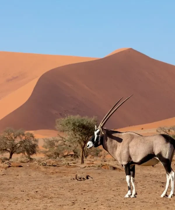 Namibia-Tours